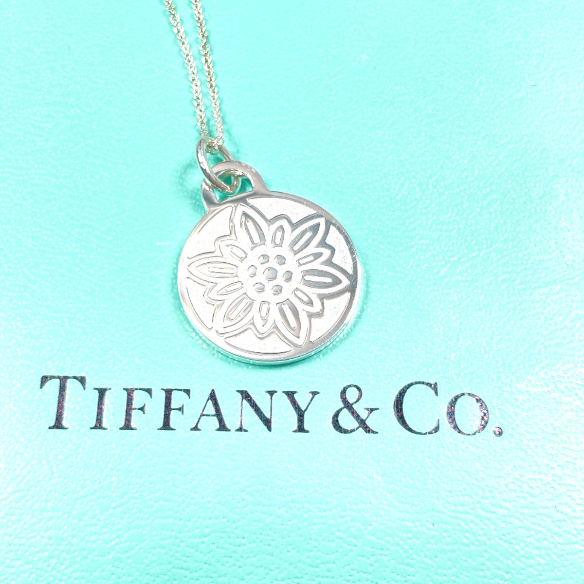 TIFFANY&Co. Necklace Silver925 Silver GO WOMEN 2023