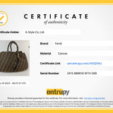 FENDI 8BR616 Nylon Chain handle Zucca Mia Tote Bag Women Used 1036-9E 100% authentic